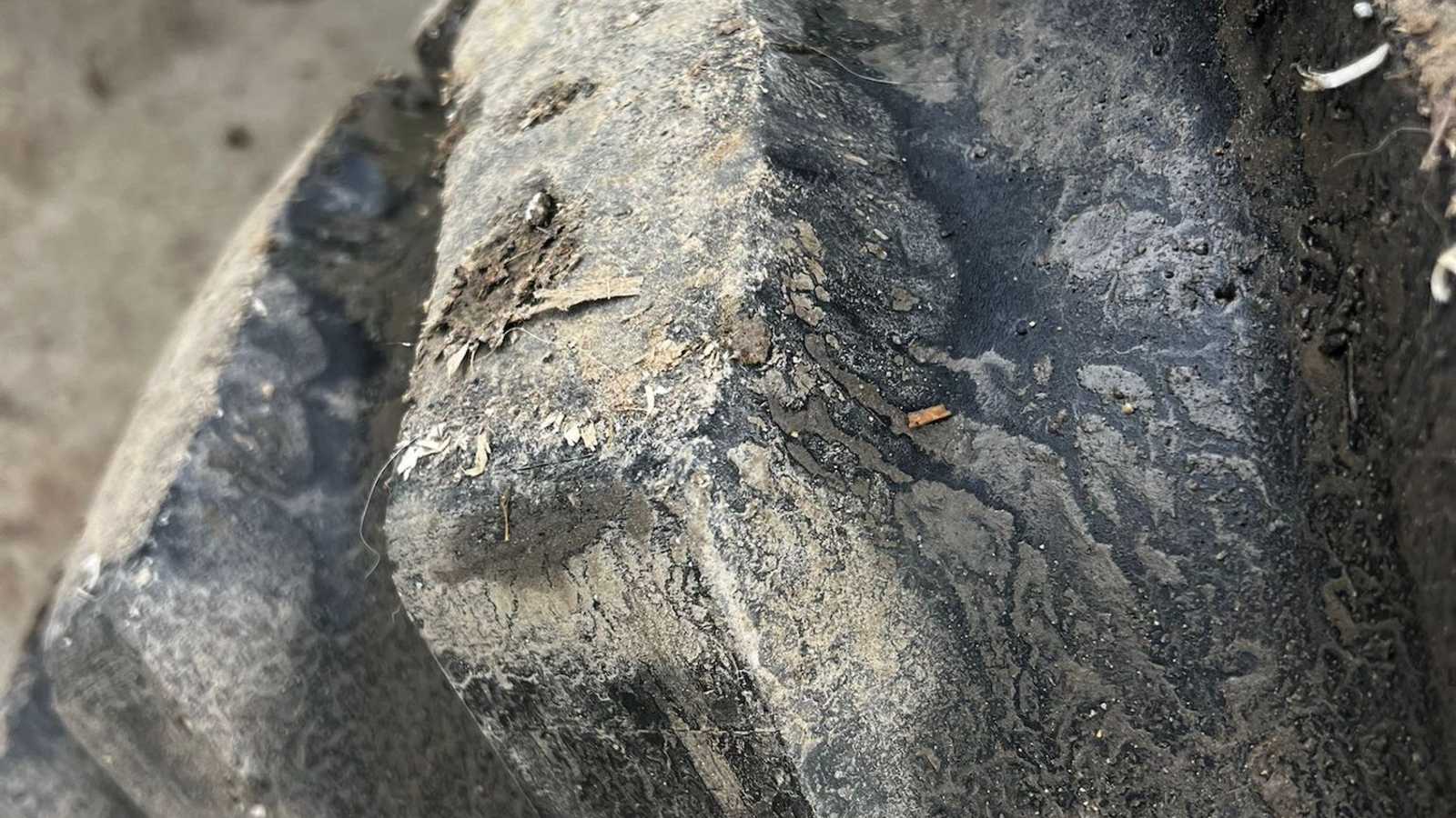 OmecoHub - Immagine 7